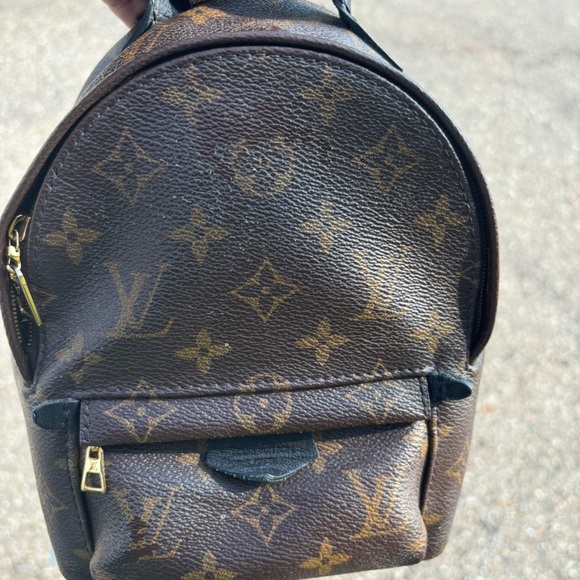 Louis Vuitton Palm Spring Mini Backpack - Picture 11 of 15